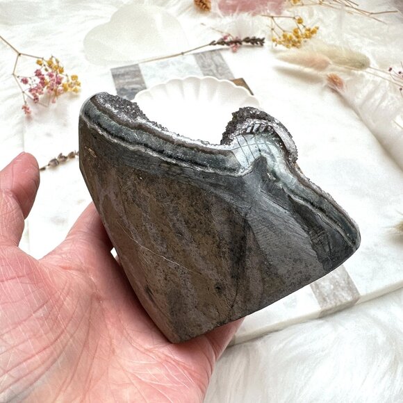 Gorgeous Amethyst Cut Base from Uruguay - Picture 9 of 10